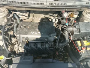 Toyota Corolla 2003 Beige