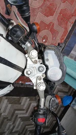 BMW Sport 2019 White