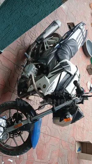 BMW Sport 2019 White