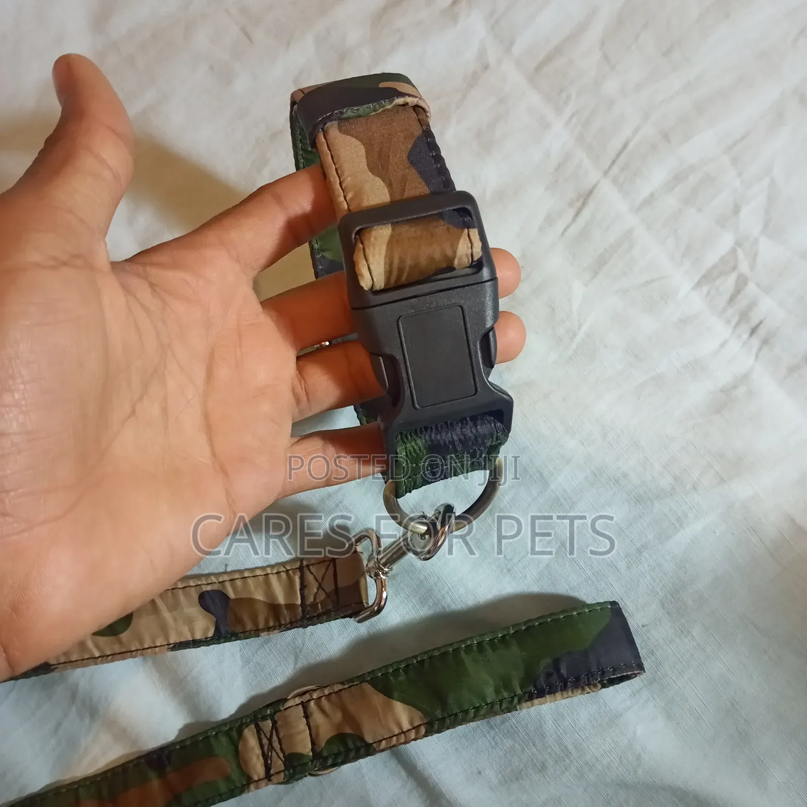 Dog Collar With Lead