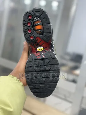 Nike Air Max Plus Tn (Available in Different Colors) Free Delivery