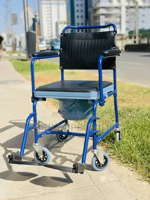 Wheelchair Elderly Disable Toilet Seat Handicapped Person Potty Chair