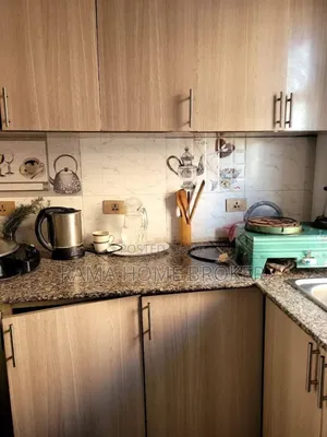 Furnished 3bdrm Condo in አራብሳ 20/80, Yeka for sale