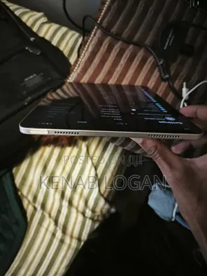 Apple iPad Air 256 GB Gray