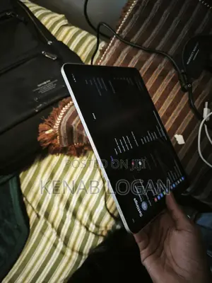 Apple iPad Air 256 GB Gray