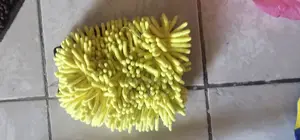 Car Wash Mop