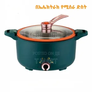 Mini Electrical Pressure Cooker/Pot