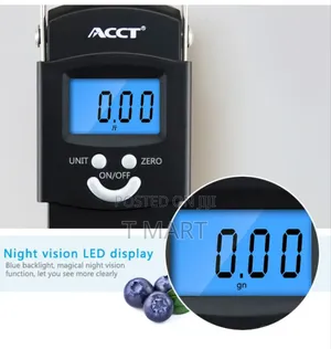 Portable Electronic Scale ዘመናዊ በኤሌክትሮኒክስ የሚሰራ ሚዛን