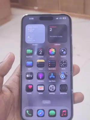 New Apple iPhone 15 Pro Max 256 GB Gray