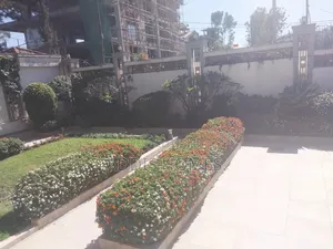 8bdrm Villa in Bole for rent