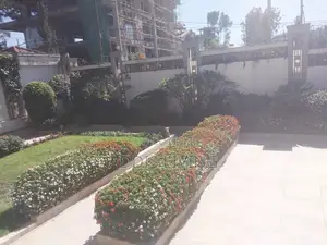 8bdrm Villa in Bole for rent
