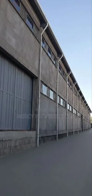 Warehouse for Rent Sheger City Area With 800 Kv Power