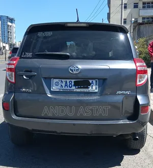 Toyota RAV4 2010 Gray