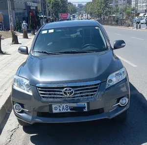 Toyota RAV4 2010 Gray