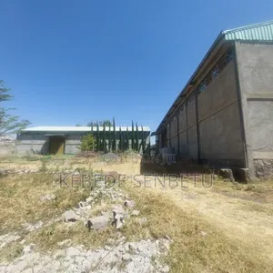 Textile Ware House for Sale