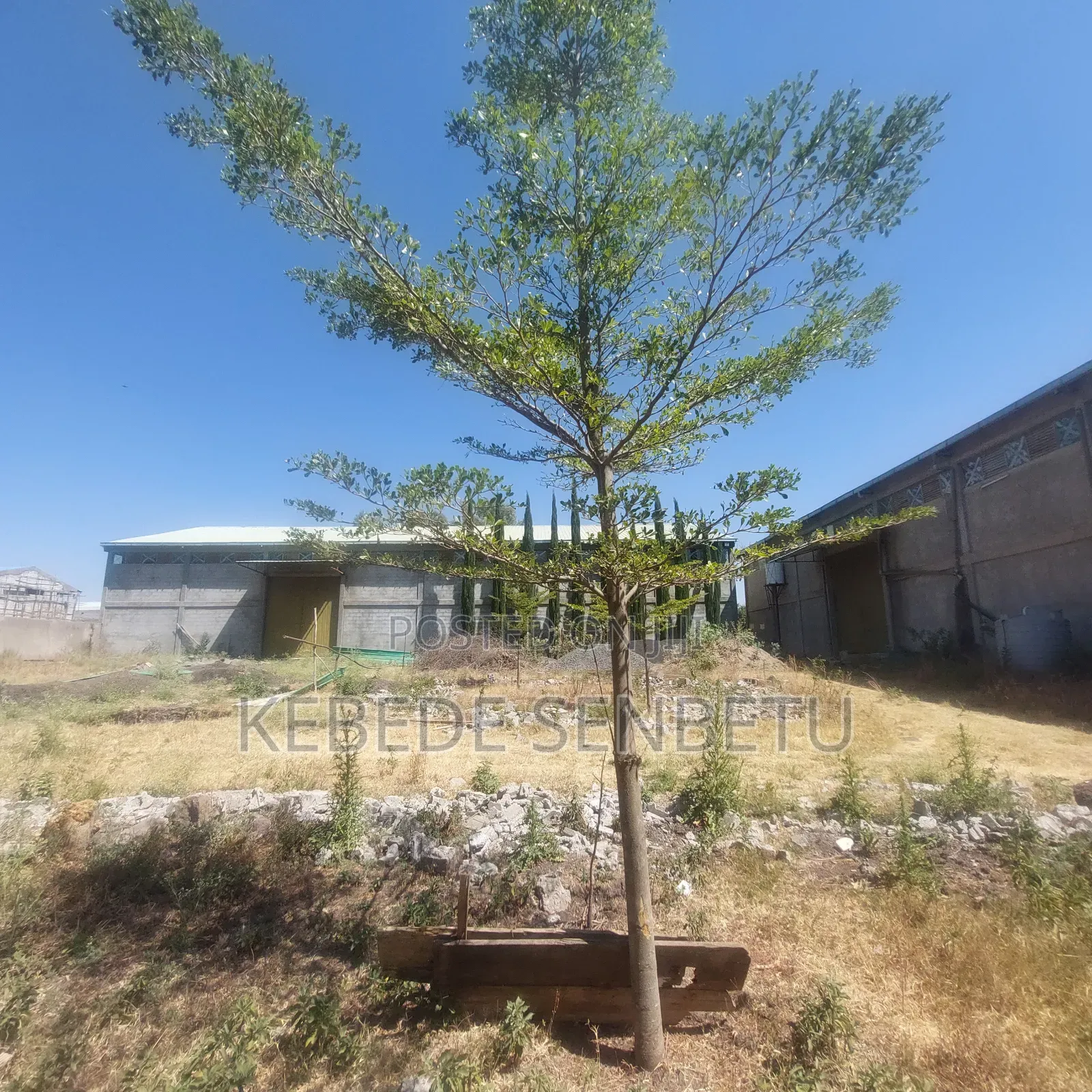 Textile Ware House for Sale