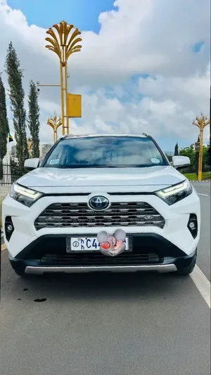 Toyota RAV4 2024 White