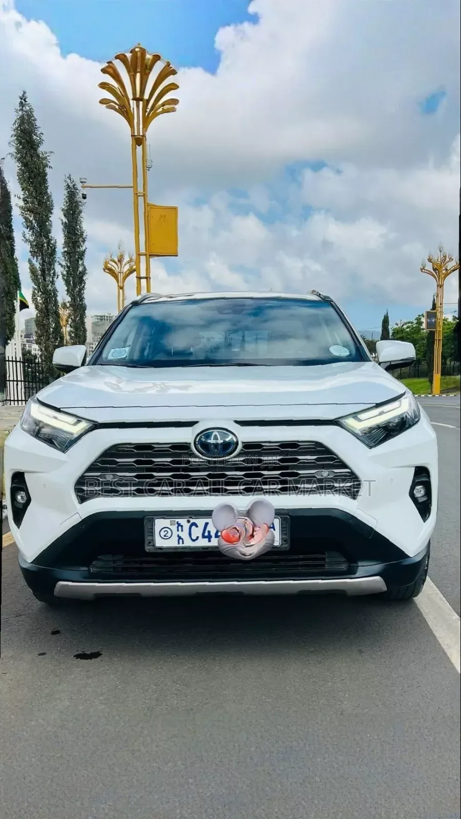 Toyota RAV4 2024 White
