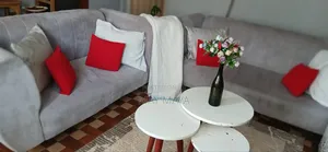Furniture Sofa