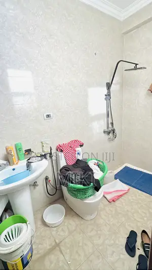 Furnished 3bdrm Apartment in Diaspora, Nifas Silk-Lafto for sale