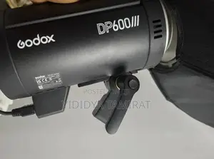 Godox Spot Light