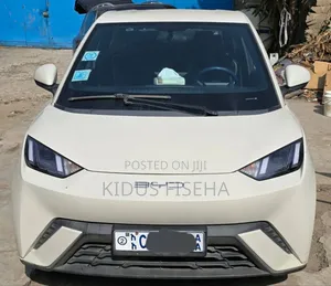 BYD Seagull 38 kWh FWD 2023 White