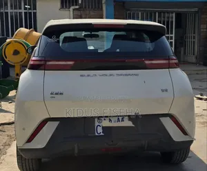 BYD Seagull 38 kWh FWD 2023 White