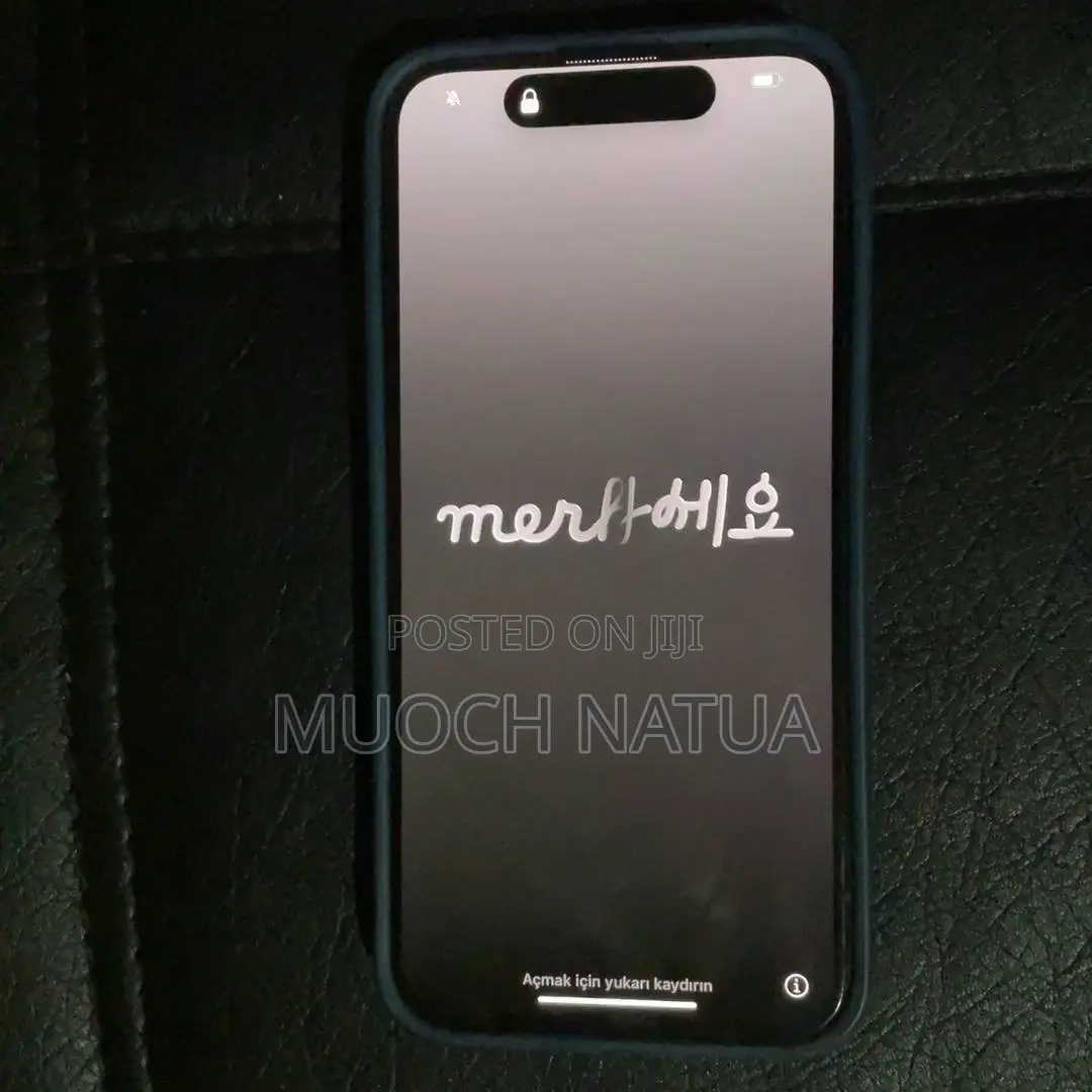 Apple iPhone 15 Pro Max 256 GB