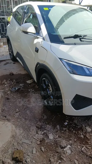 New BYD Seagull 2025 White