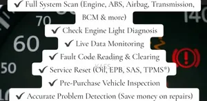 Kass Full Auto Diagnostics and Detailing