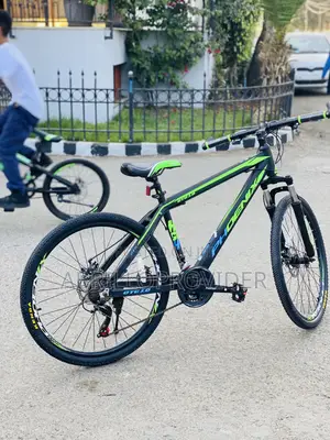 Phoenix飞机ፎኔክስ呃看26贷款ቁጥር都快bicycle贷款bicycle都快mountain