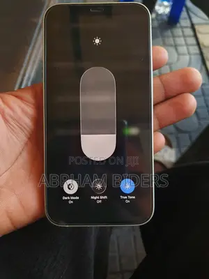 Apple iPhone 12 128 GB Gray