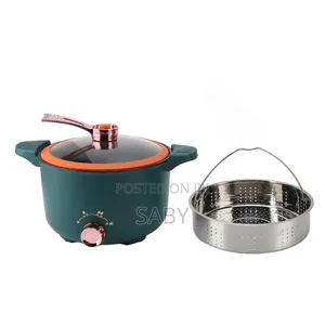 Electric Pressure Mini Pot