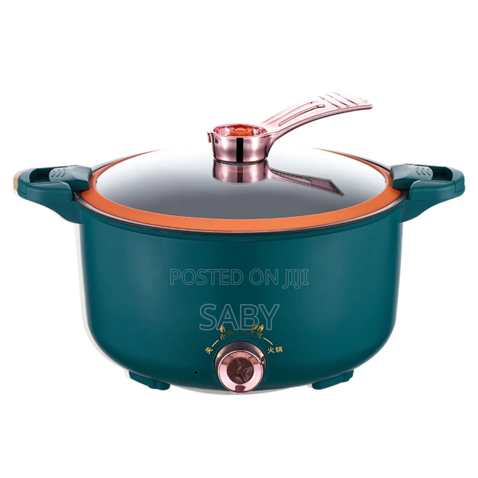 Electric Pressure Mini Pot