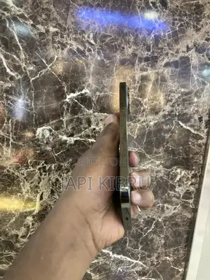 Apple iPhone 13 Pro Max 256 GB Black