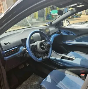 BYD Seagull 2024 Matt Black