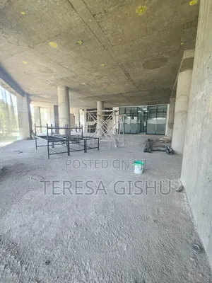 Furnished 3bdrm Apartment in Jenboro Real Estate, Lideta for sale