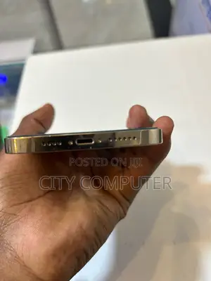 New Apple iPhone 13 Pro Max 256 GB Gold