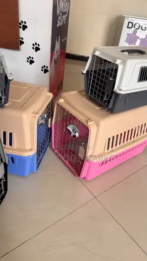 Standard Dog Cage