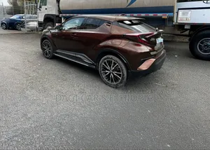 Toyota C-HR 2017 Brown