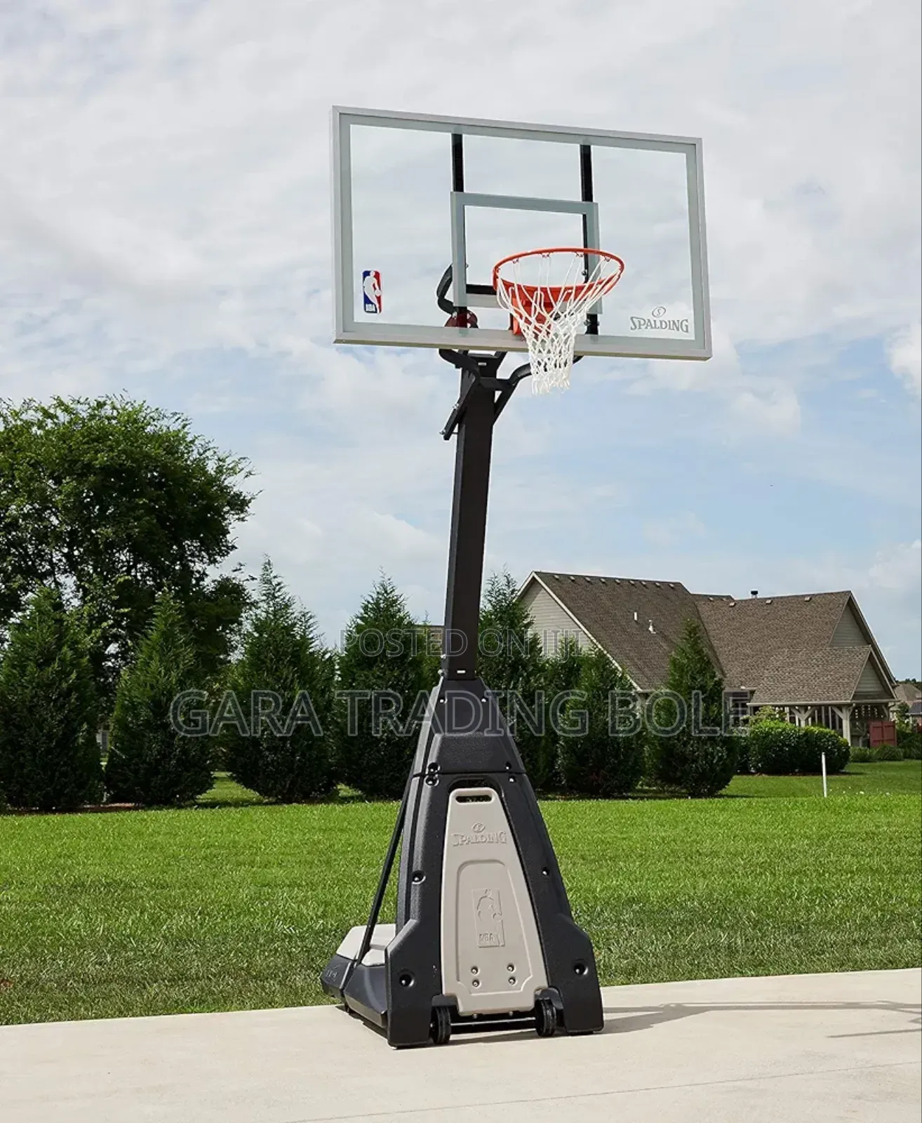 Basketball Ring and Stand