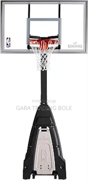 Basketball Ring and Stand