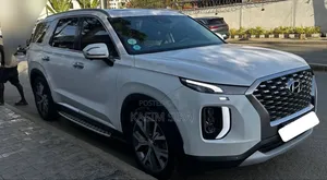 Hyundai Palisade Calligraphy 2023 White