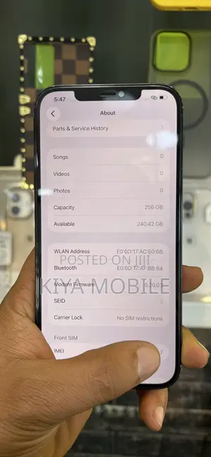 Apple iPhone 12 Pro Max 256 GB Blue