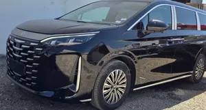 New BYD Xia 2025 Black