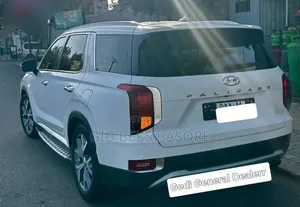 Hyundai Palisade 2023 White