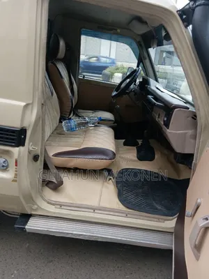 Toyota Land Cruiser 2009 Beige