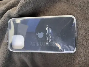 iPhone 12 Pro Max Cover / Case