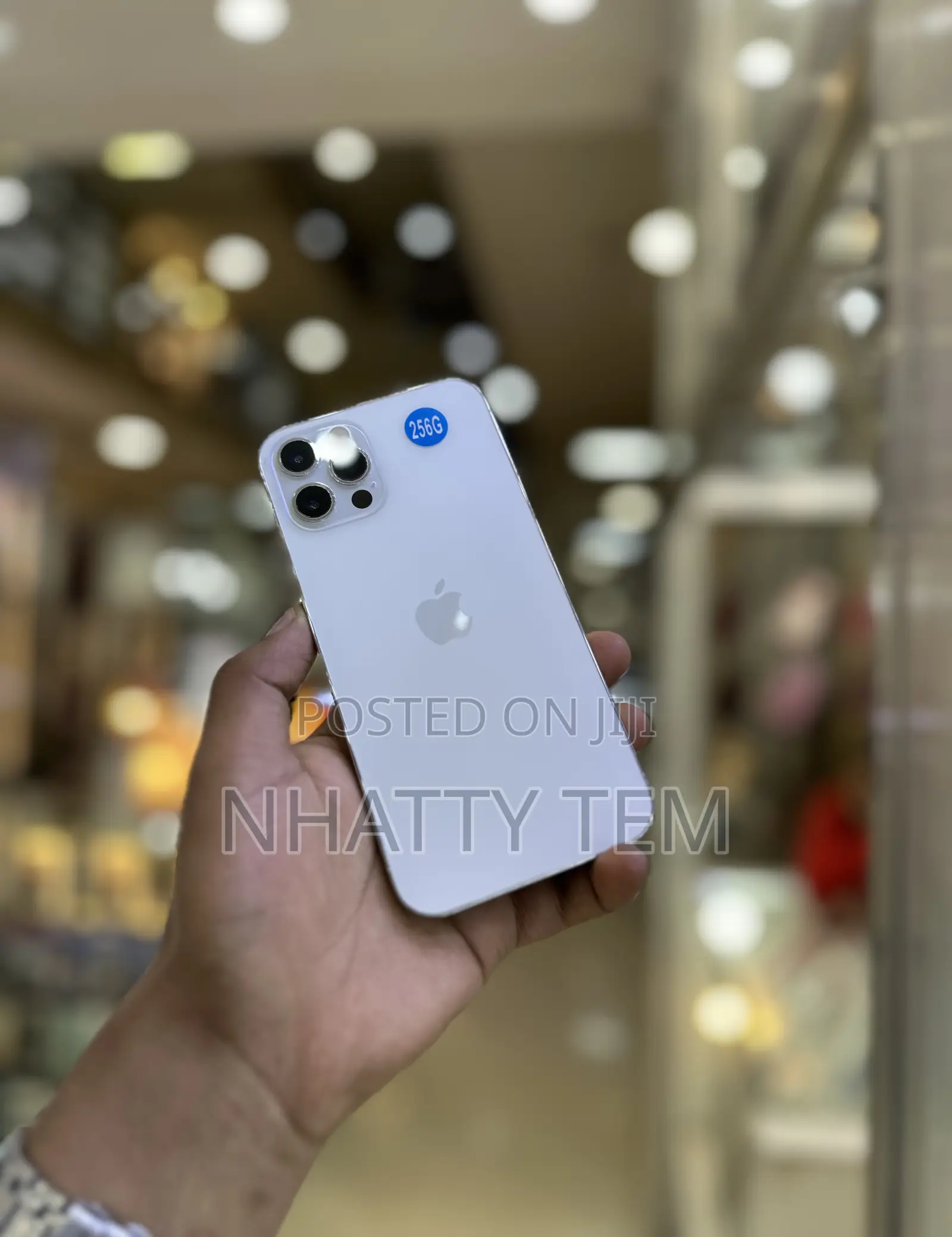 Apple iPhone 12 Pro 256 GB Silver