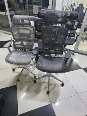 Ergonomics Chairs